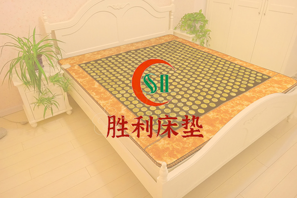 岫巖滿族自治縣勝利床墊制品有限公司
