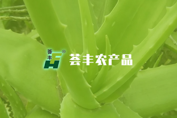 鞍山市薈豐農(nóng)產(chǎn)品開發(fā)有限公司