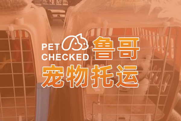 鐵西區魯哥公路寵物貨運代理服務中心