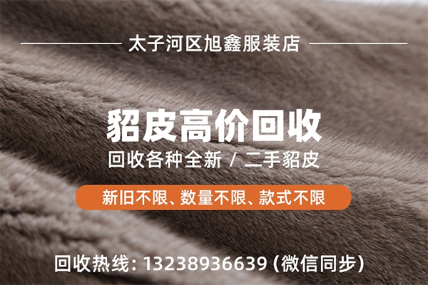 旭鑫貂皮回收