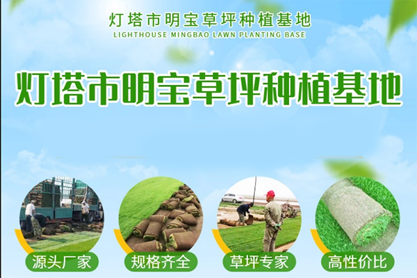 燈塔市明寶苗圃