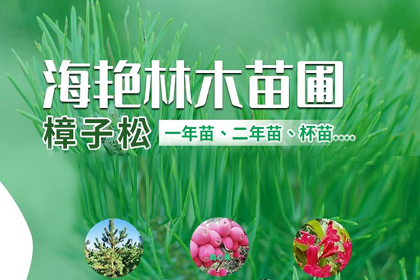 海艷林木苗圃