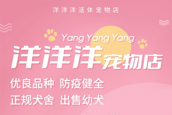 洋洋洋寵物店